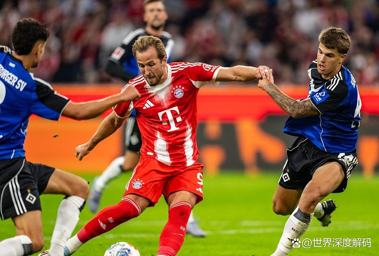 汉堡队伤愈球员回归，力争主场击败对手