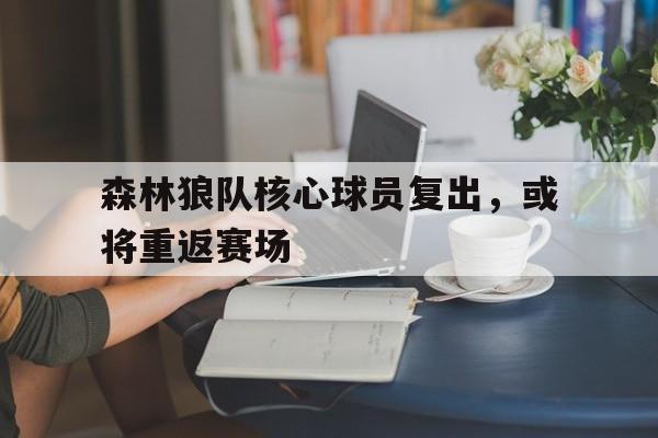 森林狼队核心球员复出，或将重返赛场的简单介绍