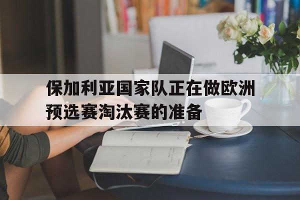 C7娱乐官网-波黑国家队公布欧洲杯预选赛名单